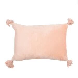 Nordstrom Bliss Tassel Velvet Accent Pillow